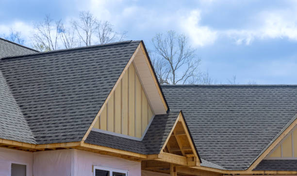 Best Steel Roofing  in Plantation, FL