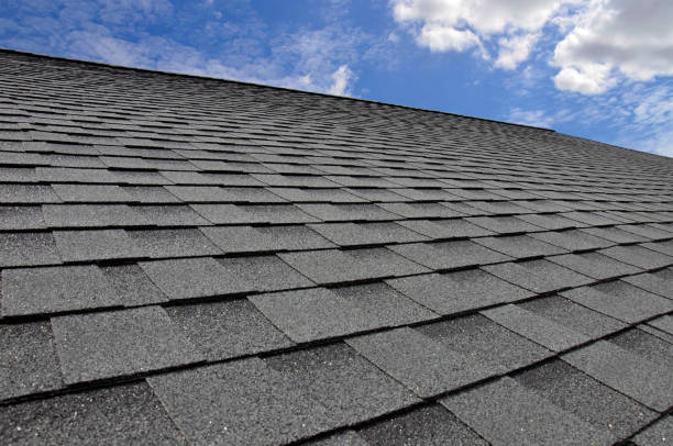 Fast & Reliable Emergency Roof Repairs in Plantation, FL
